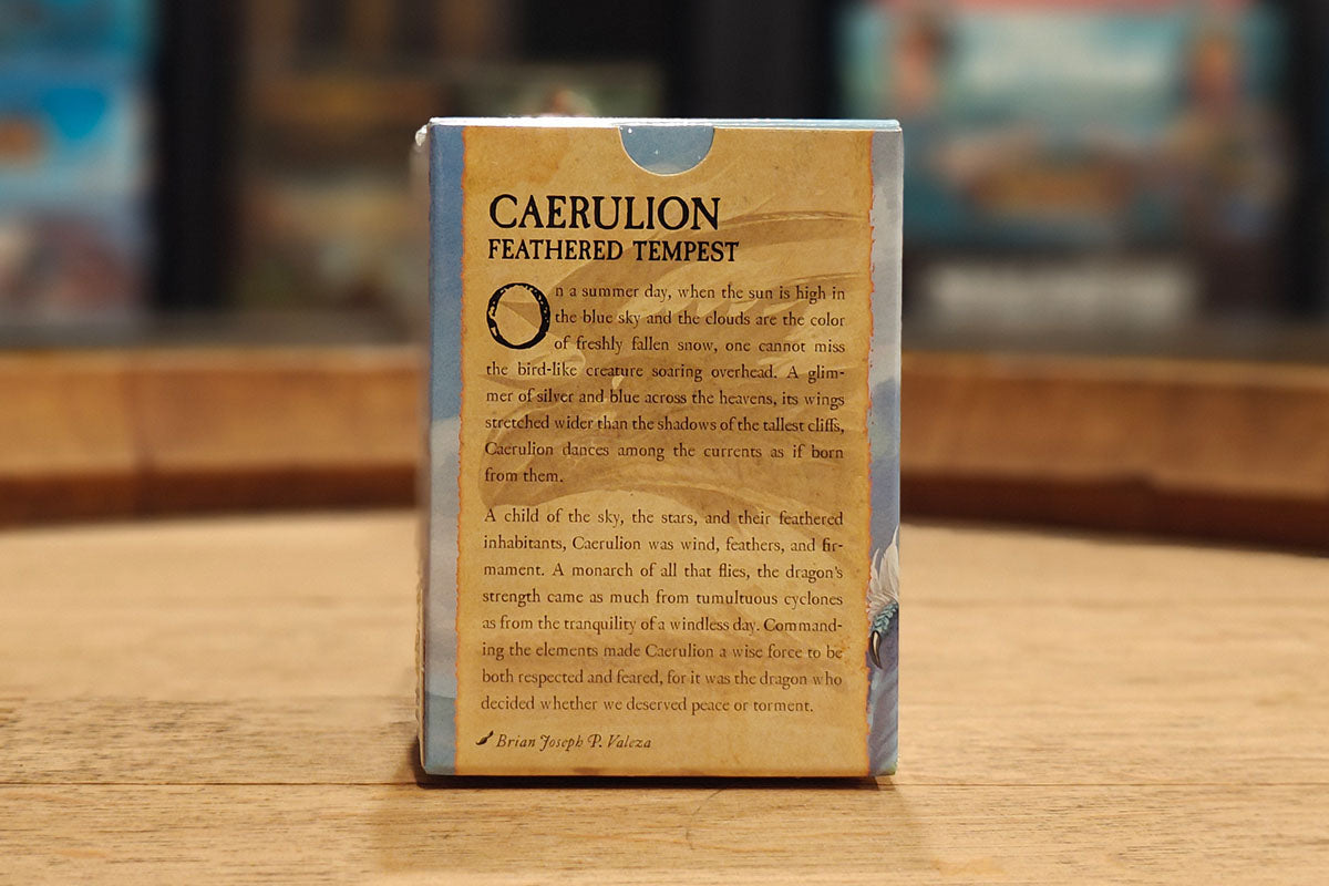 Dragon Shield Sleeves: Standard Matte Dual - Sky Blue & Silver 100CT