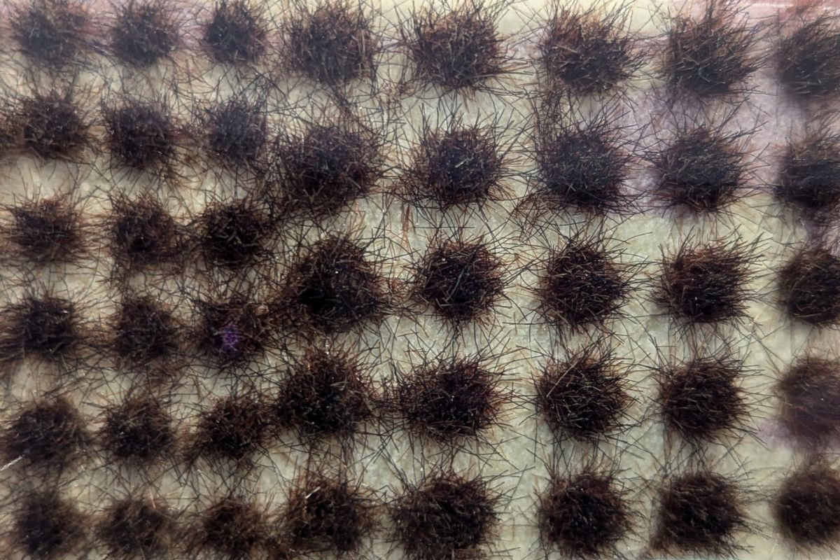 The Army Painter: Scorched Tuft