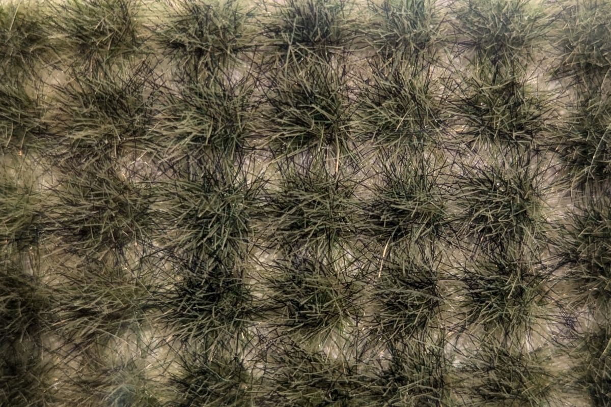 The Army Painter: Swamp Tuft