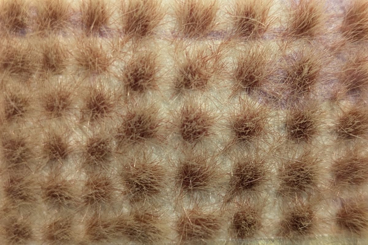 The Army Painter: Mountain Tuft