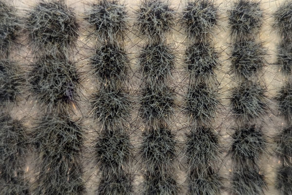 The Army Painter: Deadland Tuft