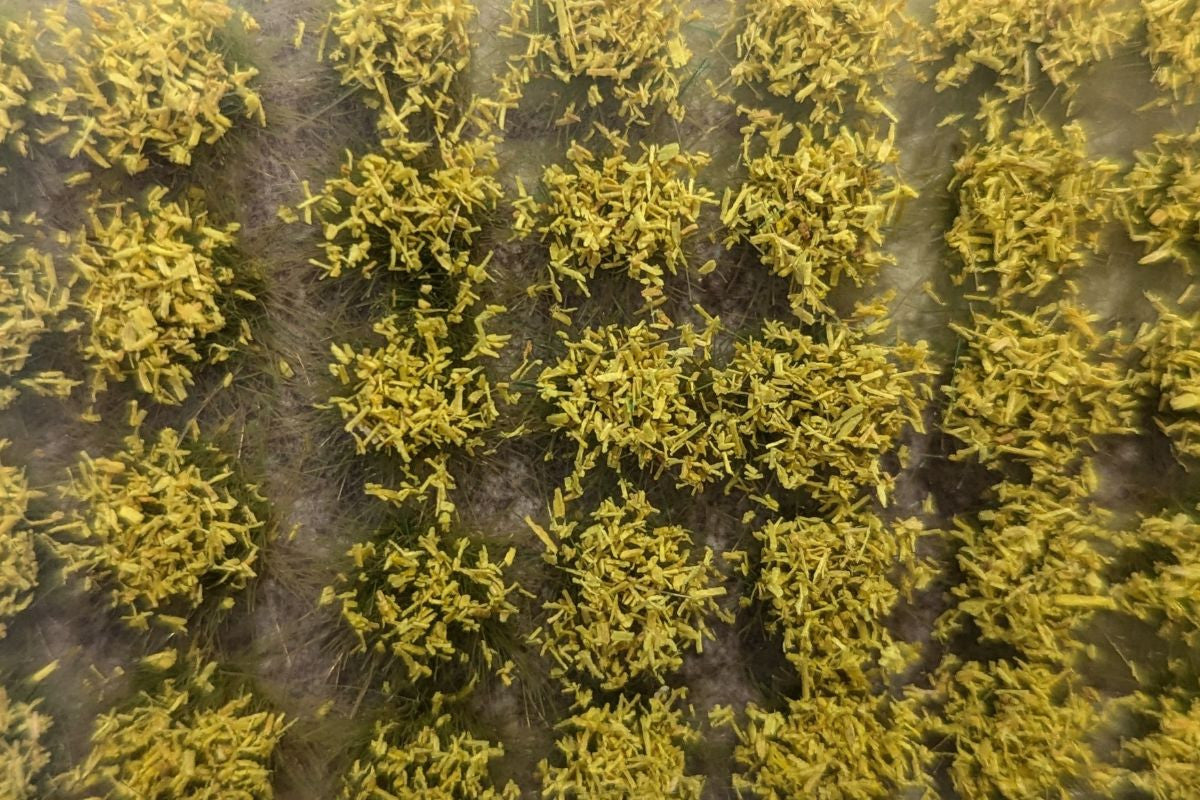 The Army Painter: Meadow Flowers