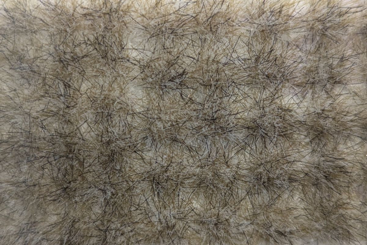 The Army Painter: Frozen Tuft